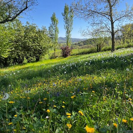 Bergerie Bed & Breakfast Montjustin Exterior foto