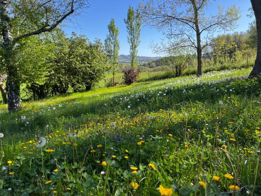 Bergerie Bed & Breakfast Montjustin Exterior foto